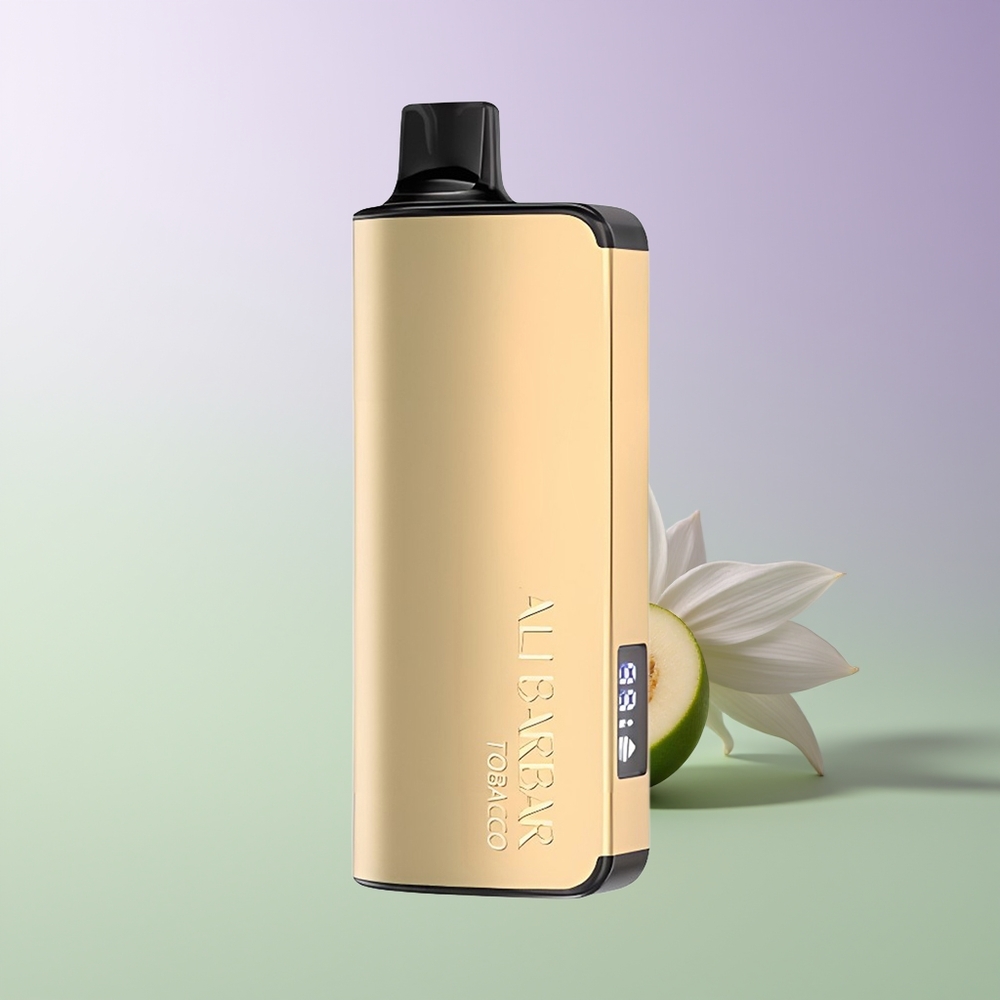 Alibarbar Ingot 9000 Puffs 22ml Vienkartinės Elektroninės Cigaretės Tabakas