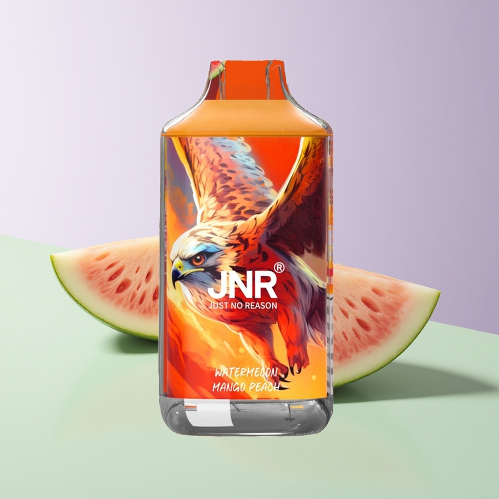 JNR Falcon 16000 Pūsų Vandmelonas Mango Persikas 22ml