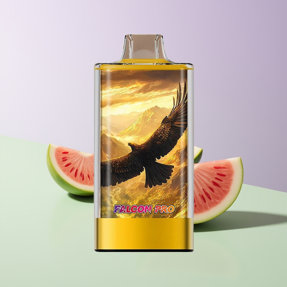 JNR Falcon Pro 28000 30000 Puff Persikas Mango Arbūzas