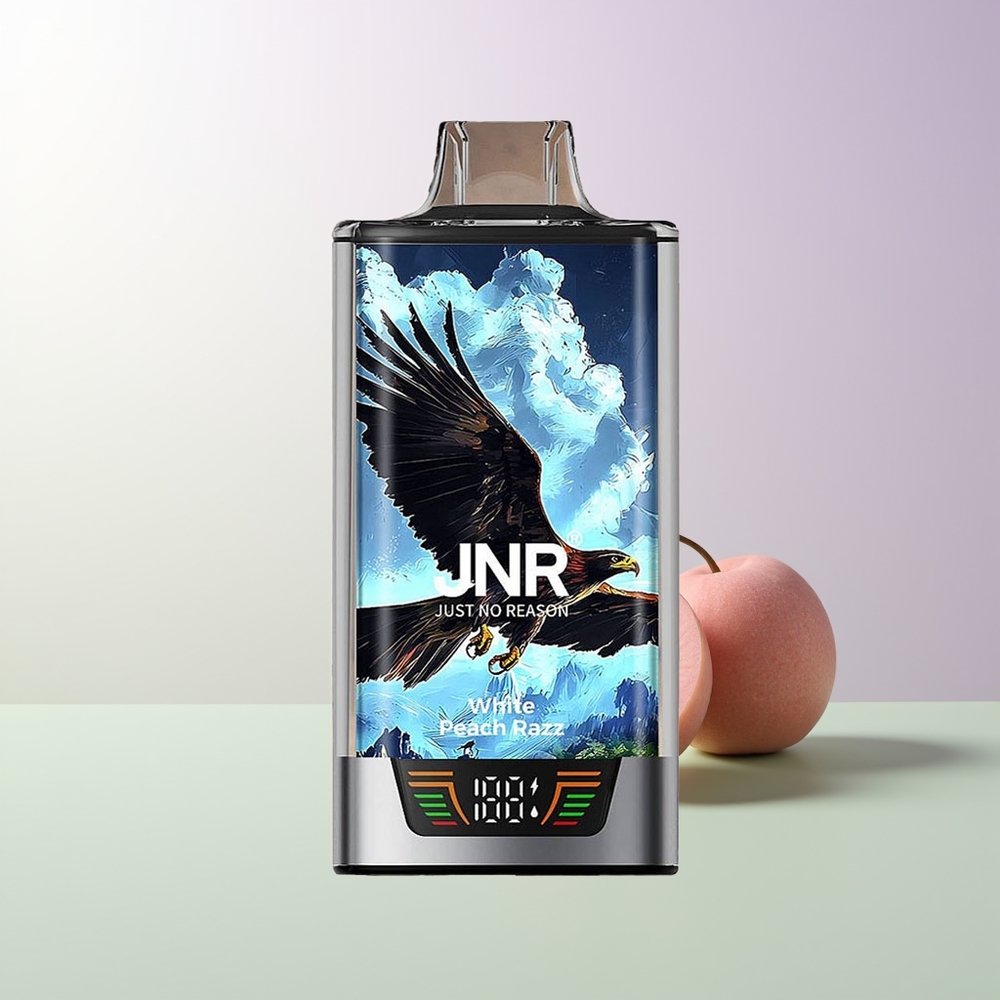 JNR Falcon Pro 28000 Vienkartinės Elektroninės Cigaretės Baltasis Persikas Razz USB Type-C