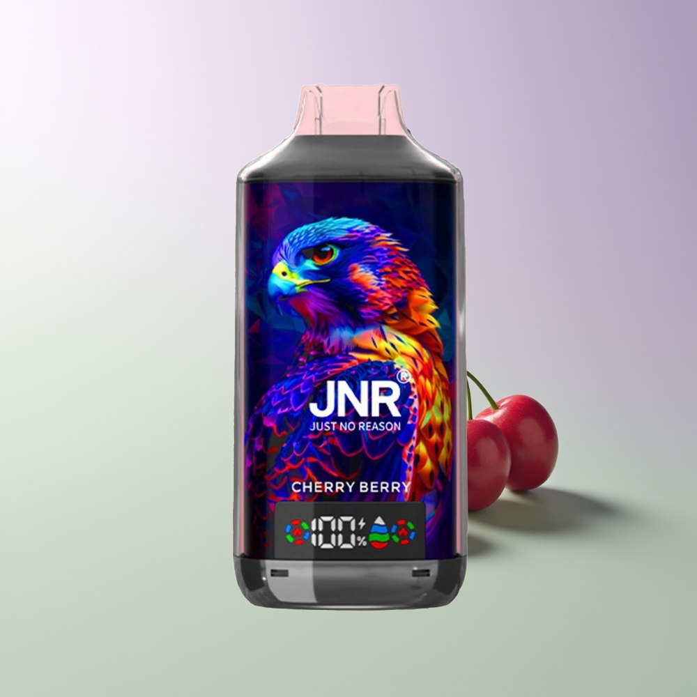 JNR Falcon X 18000 Pūkų Vienkartinis Vapas Vyšnia Uoga