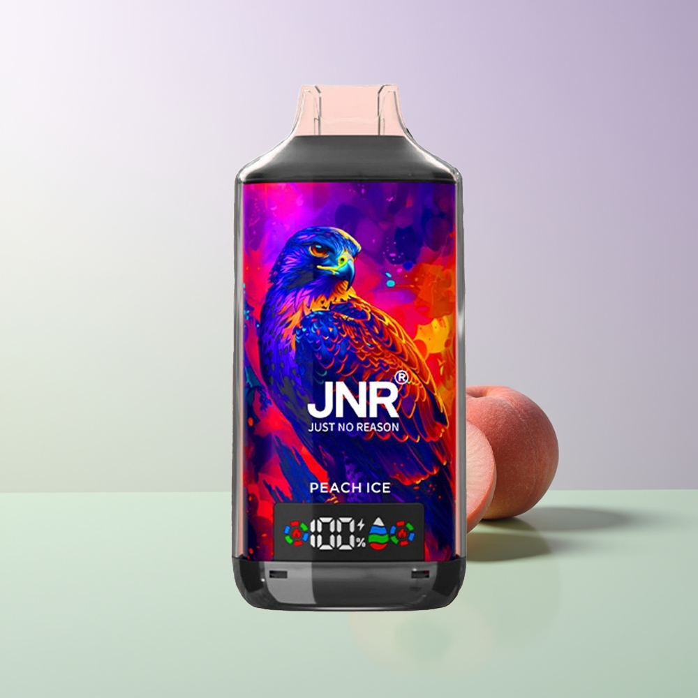 JNR Falcon X 18000 Pūkų Vienkartinis Vaporizatorius Persikas Ledas