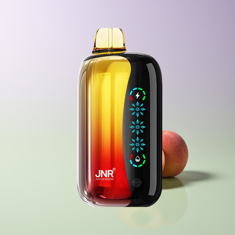 JNR Flex Ice 21000 Pūkų Vienkartinės Elektroninės Cigaretės Persikas Mango Ananasas Tipas-C