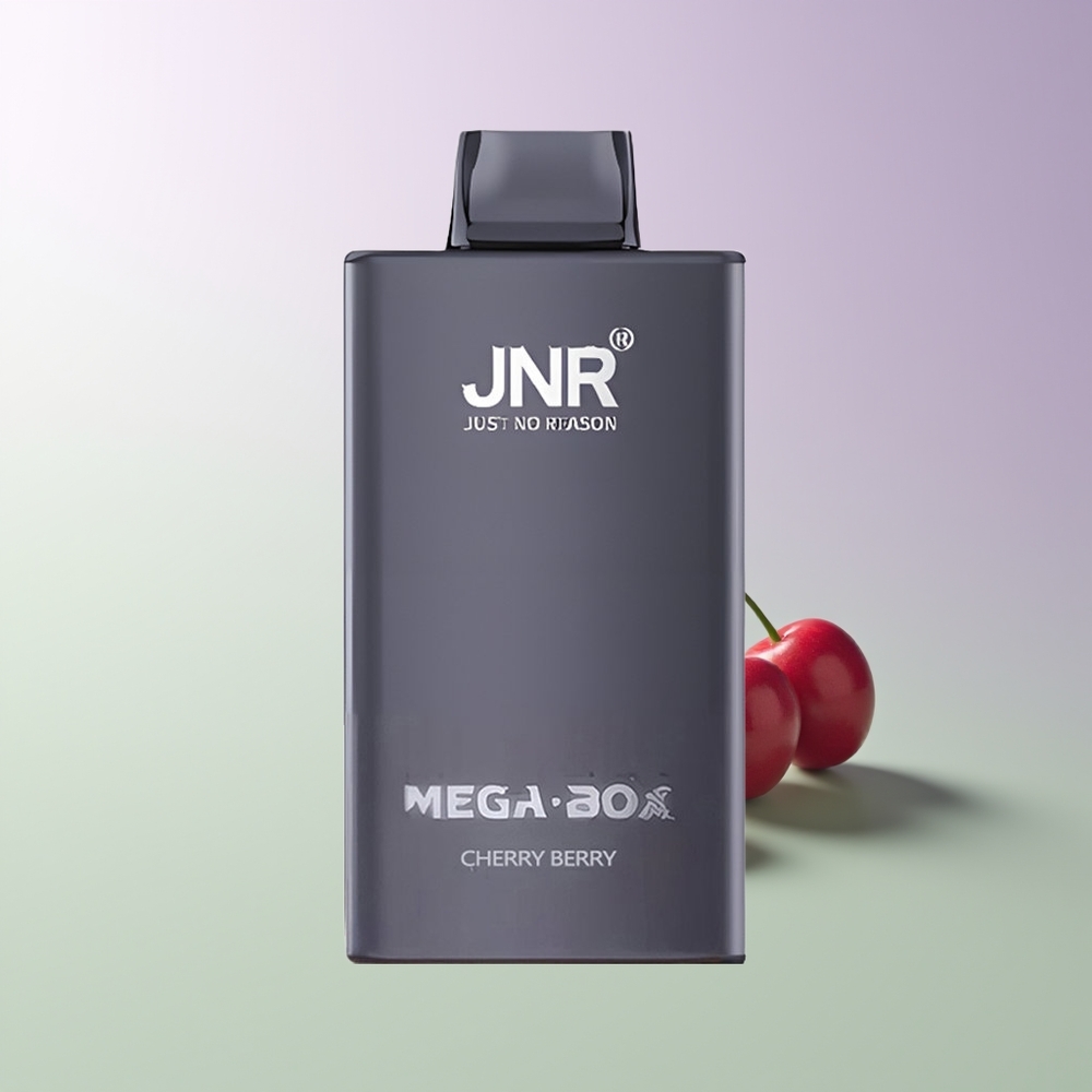 JNR Mega Box 25000 Pūkų Vienkartinės Elektroninės Cigaretės Vyšnių Uogų