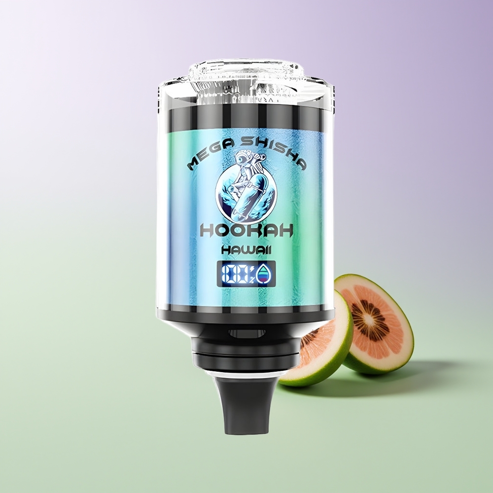 JNR Mega Shisha Hookah 100K 60ml Ekranas