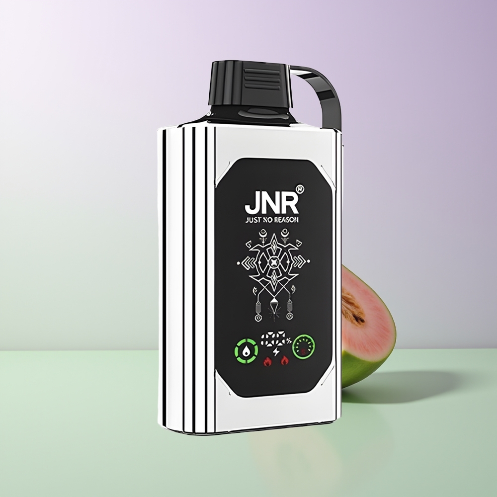 JNR Shisha Hookah Box 20500 Dvigubasis Melionas Mėta