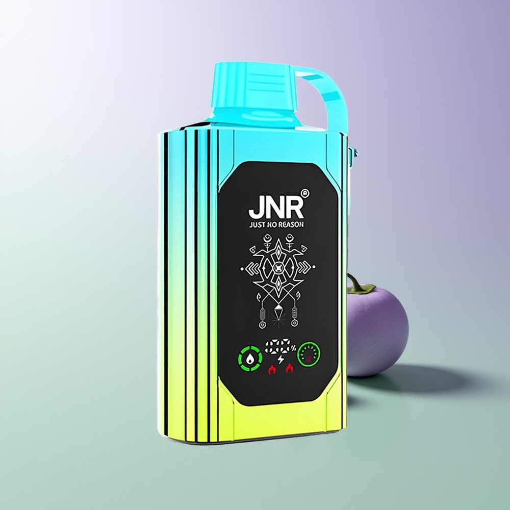 JNR Shisha Hookah Box 20500 Puffs Dviguba Dėžutė Mėlynųjų Uogų Mėta