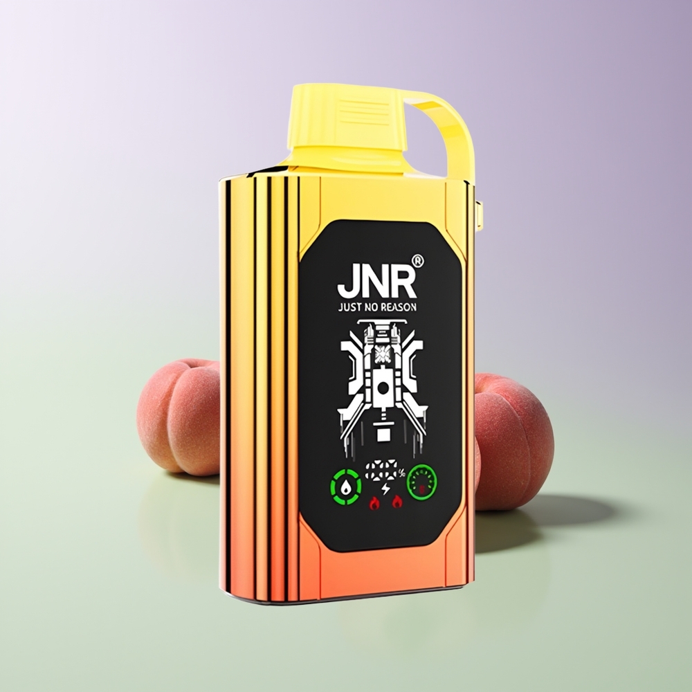 JNR Shisha Hookah Box 20500 Puffs Dvynių Tinklų Dėžė Sultingi Persikai