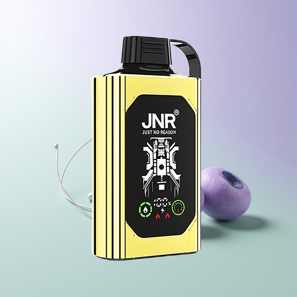 JNR Shisha Hookah Box 20500 Pūkų Vienkartinės Elektroninės Cigaretės Mėlynų Uogų Ledas