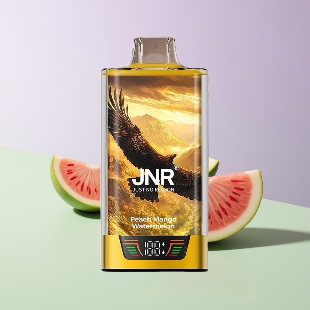 JNR Falcon Pro 28000 30000 Puff Persikas Mango Arbūzas